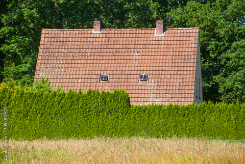 Altes Wohngebäude mit Dach und Gartenhecke im Grünen, Bad Zwischenahn, Niedersachsen, Deutschland