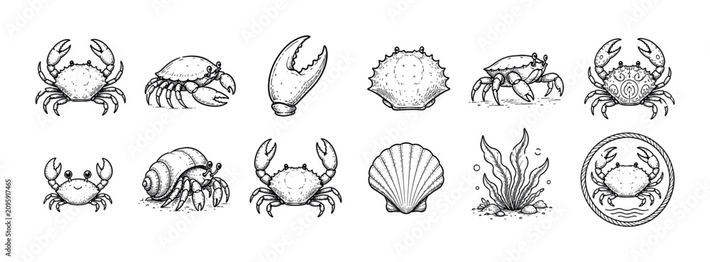 Obraz premium Collection of hand-drawn crab illustrations in a vintage engraving style, featuring various crustaceans, a hermit crab, a seashell, and aquatic plants for a nautical theme