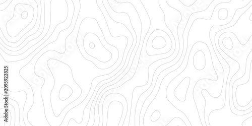 Tableau sur toile Contemporary Topographic Map Artwork with Layered Contour Relief Lines and Elega
