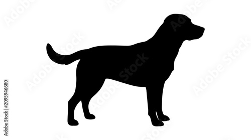 Foto Helloween Labrador retriever dog silhouette vector, standing black dog profile i