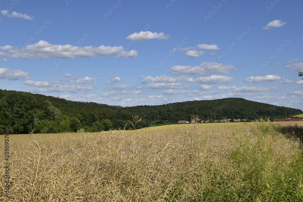 Obraz premium Landschaft und Ausblick bei Alfeld