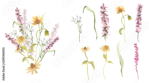 Watercolor field flower and wildflower bouquet muted tones isolated. Hand painted floral element for greeting card and invitation design. Botanical spring and summer set elements with petal and leaf.