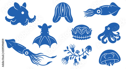 Tableau sur toile Various marine cephalopods and jellyfish silhouettes on white background represe