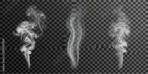 Bilde på lerret Abstract White Smoke Swirls Flowing on Black Background with Elegant Curves and