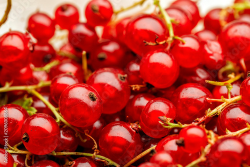 Close up of red currants. The berry is native to western Europe, widely cultivated and has escaped into the wild in many regions.