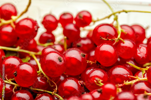 Close up of red currants. The berry is native to western Europe, widely cultivated and has escaped into the wild in many regions.