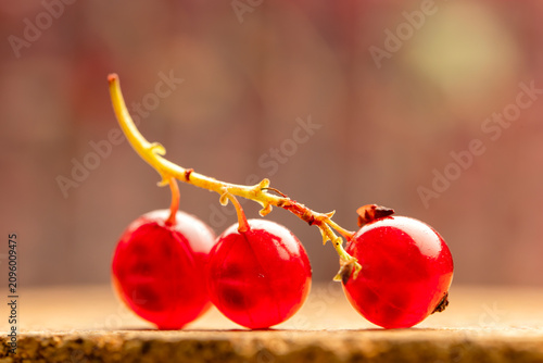 Close up of red currants pictured on a board. The berry is native to western Europe, widely cultivated and has escaped into the wild in many regions.