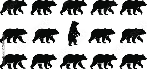 Vászonkép Black silhouette vector set of grizzly bears walking and standing on white backg