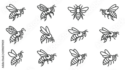 Quadro su tela Collection of flying honey bee line art illustrations