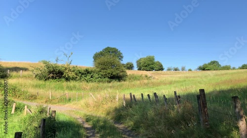 Forest landscape with idyllic winding road or hiking trail footpath and deciduous trees with green lush foliage and wooden fence poles on a sunny day with blue sky in Westerwald in Germany Europe