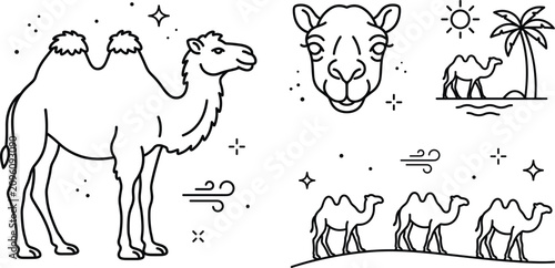 Obraz na płótnie Camel desert vector icon set featuring wild animal caravan palm tree sun wind dunes and minimal line art