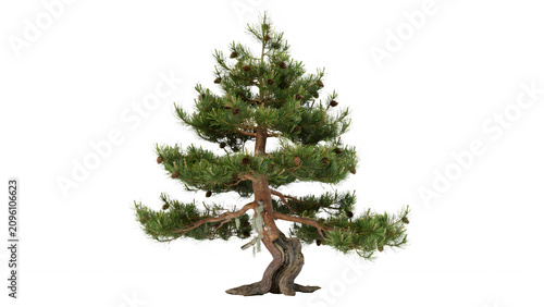 Foto Beautifully detailed evergreen tree with lush green needles