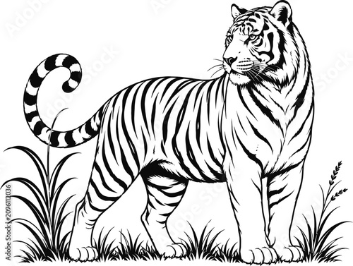 Foto Black and white tiger standing in grass