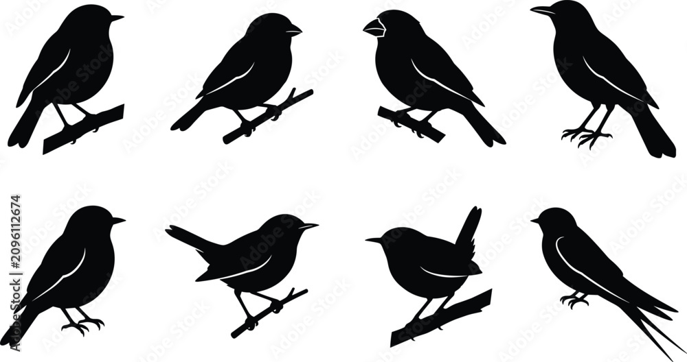 Fototapeta premium Bird Silhouette Vector Collection Featuring Perched Birds with Distinct Shapes and Tail Designs for Creative Artwork