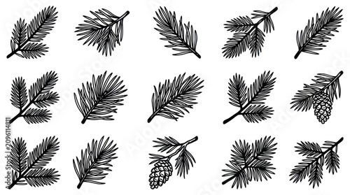 Cuadro en lienzo Hand drawn pine tree branches and cones set.
