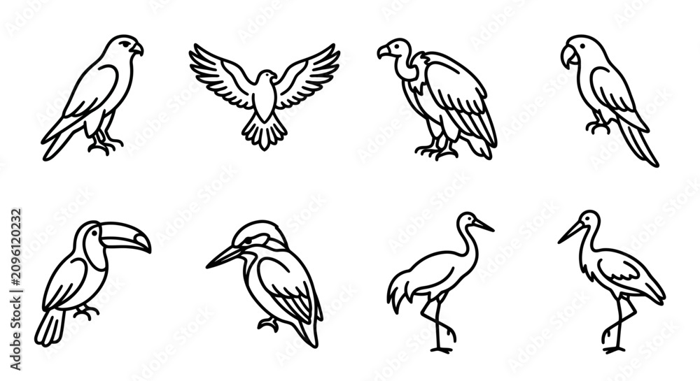 Obraz premium Diverse Bird Silhouettes Collection: Falcon, Eagle, Vulture, Parrot, Toucan, Kingfisher, Crane, Heron