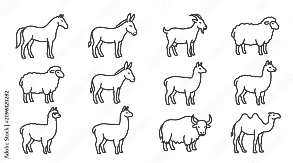 Fototapeta premium Farm Animals Collection Icons: Horse, Donkey, Goat, Sheep, Llama, Yak, Camel
