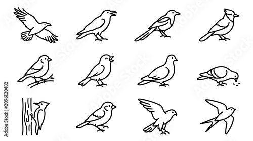 Vászonkép Collection of Bird Silhouettes: Diverse Avian Species in Outline Style