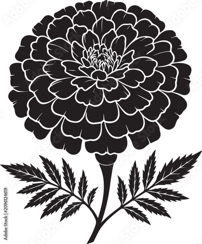 Detailed marigold flower silhouette in black and white with marigold silhouette botanical illustration isolated minimalist ornament creative