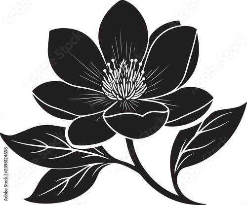 Stylized black and white flower illustration with silhouette botanical illustration isolated minimalist ornament decoration creative