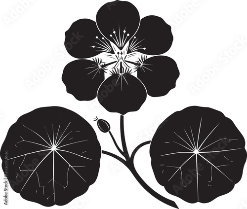 Nasturtium flower and round leaves botanical vector silhouette illustration with nasturtium botanical silhouette illustration isolated