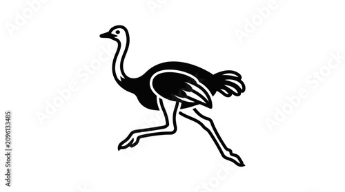 Tablou pe pânză Ostrich Running Fast on Ground.