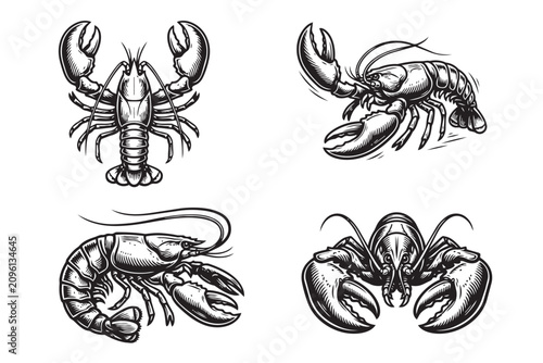 Collection of 4 black and white lobster and crayfish vector illustrations. Detailed marine crustaceans in a vintage engraving style.