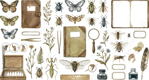 Photos Vintage entomology watercolor collection element set with insects notebooks and