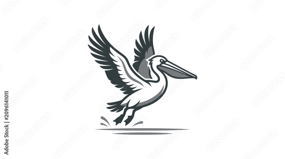 Fototapeta premium Pelican bird in flight motion.