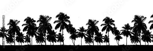 Tableau sur toile A row of palm trees silhouetted against a bright white background, creating a tropical border