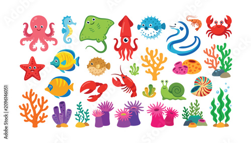 Photography Cute sea animals and underwater coral reef elements vector illustration set feat