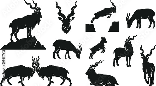 Bild auf Leinwand Markhor Silhouette Collection Featuring Wild Mountain Goats in Standing Climbing