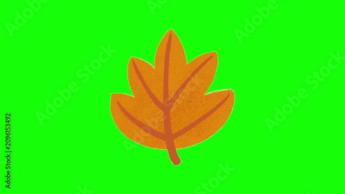 Abstract golden maple leaf animation on green screen, featuring a vibrant fall botanical element for seasonal intros and creative video projects. 