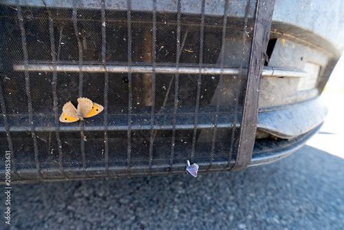 Bild auf Leinwand Dirty radiator protective mesh of the car