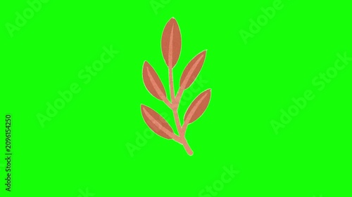 Abstract slender twig animation on green screen, featuring a minimal flat botanical branch for seasonal graphics and motion design. 