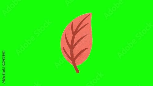 Abstract coral autumn leaf animation on green screen, featuring a modern flat botanical element for seasonal overlays and title screens. 