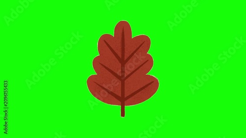 Abstract stylized oak leaf animation on green screen, featuring a warm flat autumn illustration for presentations, videos, and motion graphics. 