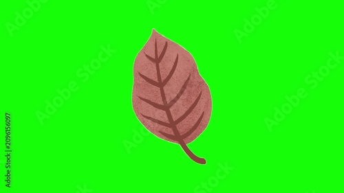 Abstract oval fall leaf animation on green screen, featuring a soft minimalist botanical design for autumn themes, overlays, and creative projects. 