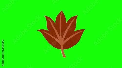 Abstract maple style autumn leaf animation on green screen, featuring a warm seasonal botanical element for nature videos and title animations. 