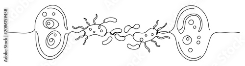 Fotografie bacterial conjugation between two cells