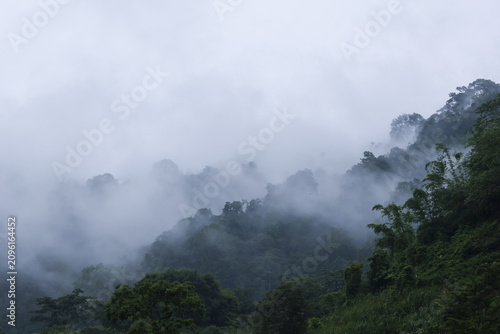 Fotografía Misty mountain forest with low clouds drifting through dense tropical trees crea