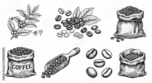 Hand Drawn Vintage Coffee Illustration Set: Beans, Plant, Burlap Sacks and Scoop in Engraving Sketch Style