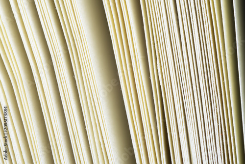 Close-up of Book Pages Abstract Texture,Macro,A detailed macro shot showing the clean, lined texture of stacked book pages, creating an abstract pattern with soft light and shadows.