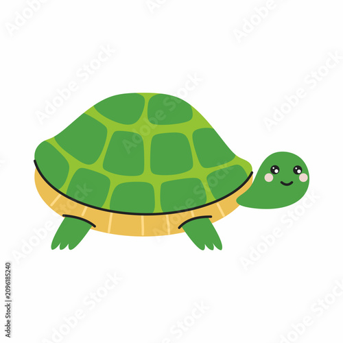 Cute turtle on white background. Pet. Vector illustration with image of animal.