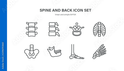 Simple Set of Spine and Back Related Vector Line Icons. Contains such Icons as Vertebrae, Intervertebral Disc, Rib Cage, Pelvis, Hand Skeleton and more. Editable Stroke. Pixel Perfect Vector.
