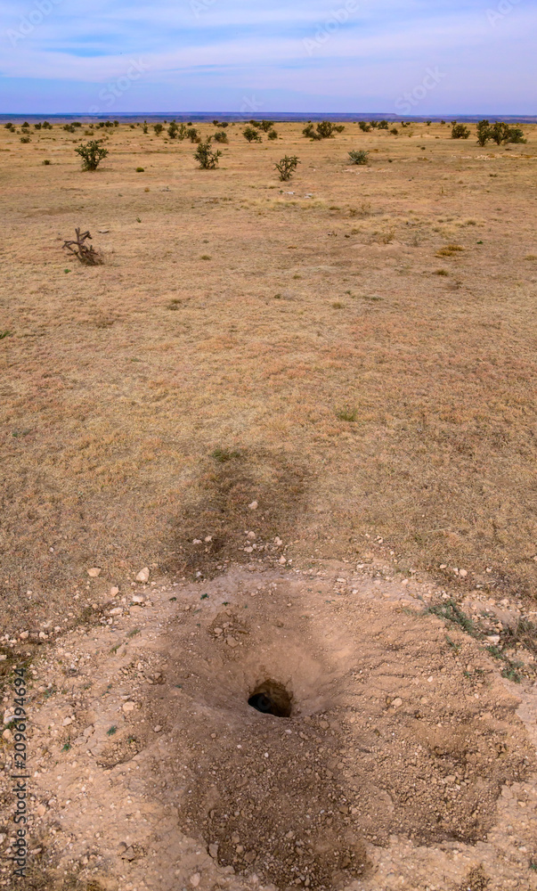 Obraz premium The photograph shows an animal burrow in a dry, open grassland landscape of Oklahoma, USA.