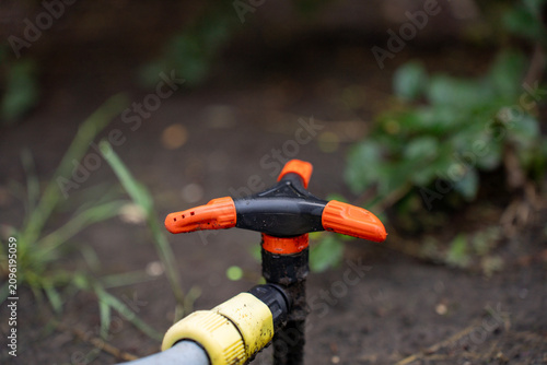 Plastic rotary garden sprinkler with connected hose installed in soil for lawn watering and backyard irrigation system.