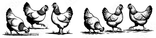 Foto Group of farm hens and chickens walking and pecking in vintage woodcut style