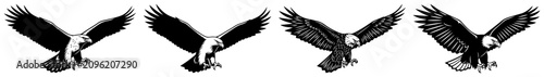 Konstfotografi Bald eagle flying with outstretched wings in detailed monochrome woodcut style