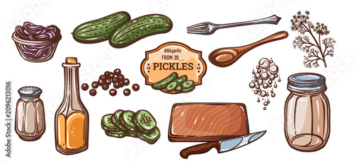 Pickle making elements set with cucumbers, dill, garlic, peppercorns, utensils and vinegar. Recipe and preserving designs use this pickle making elements set, hand drawn vector illustration.